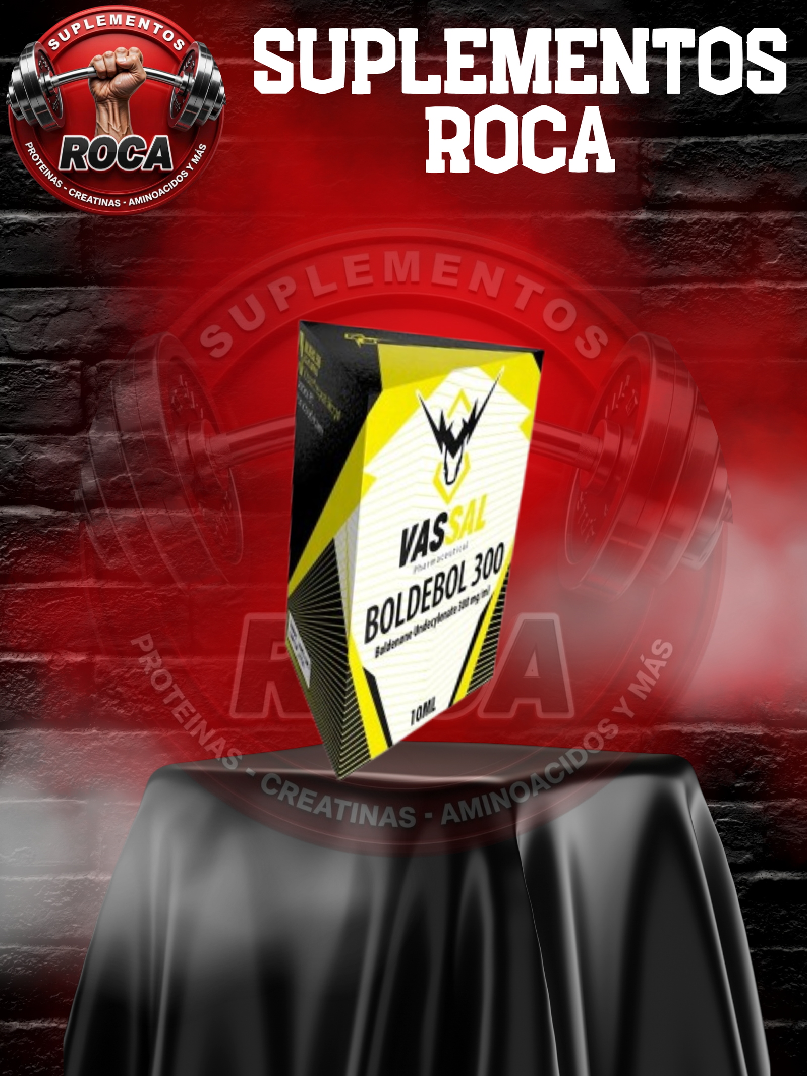 BOLDEBOL 300 VASSAL